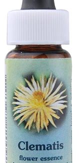 Flower Essence Clematis Herbal Supplement -- 0.25 fl oz