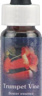 Flower Essence FES Quintessentials™ Trumpet Vine Supplement Dropper -- 0.25 fl oz
