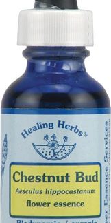 Flower Essence Healing Herbs® Organic Chestnut Bud Dropper -- 1 fl oz