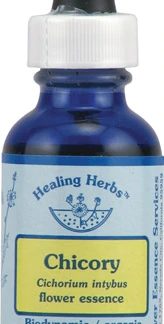 Flower Essence Healing Herbs® Organic Chicory Dropper -- 1 fl oz
