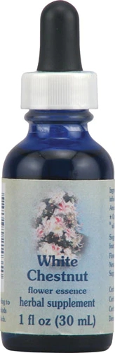 Flower Essence Healing Herbs® White Chestnut Dropper -- 1 fl oz