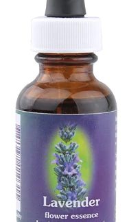 Flower Essence Lavender Dropper -- 1 fl oz