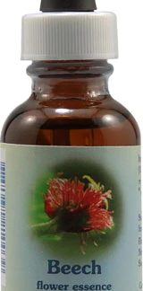 Flower Essence Organic Beech Dropper -- 1 fl oz