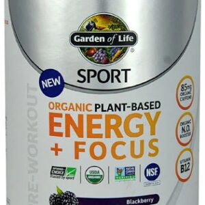 Garden of Life Sport Organic Pre-Workout Energy + Focus Blackberry -- 15.23 oz