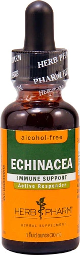 Herb Pharm Echinacea Immune Support Alcohol Free -- 1 fl oz