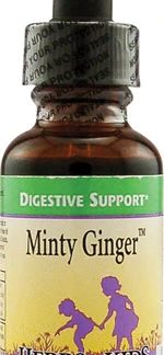 Herbs For Kids Minty Ginger™ -- 1 fl oz