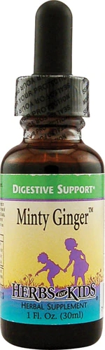 Herbs For Kids Minty Ginger™ -- 1 fl oz