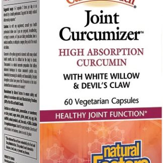 Natural Factors CurcuminRich® Joint Optimizer -- 60 Vegetarian Capsules