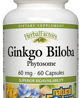 Natural Factors Ginkgo Biloba Phytosome™ -- 60 mg - 60 Capsules