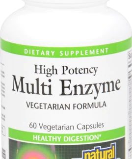 Natural Factors Multi Enzyme High Potency -- 60 Capsules