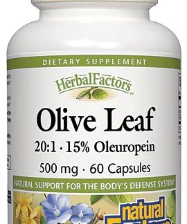 Natural Factors Olive Leaf Extract -- 500 mg - 60 Capsules