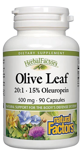 Natural Factors Olive Leaf Extract -- 500 mg - 90 Capsules