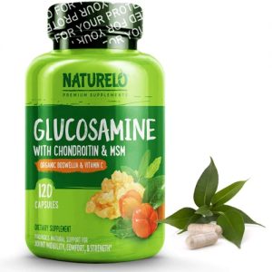 NATURELO Glucosamine with Chondroitin & MSM -- 120 Capsules