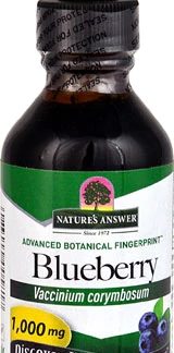 Nature's Answer Blueberry Extract -- 1000 mg - 2 fl oz
