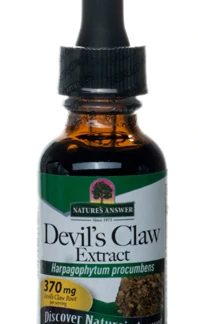 Nature's Answer Devil's Claw Extract Alcohol Free -- 370 mg - 1 fl oz