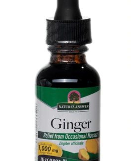 Nature's Answer Ginger -- 1000 mg - 1 fl oz