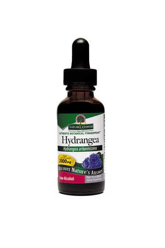 Nature's Answer Hydrangea Root -- 1 fl oz