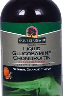 Nature's Answer Liquid Glucosamine and Chondroitin with MSM Natural Orange -- 16 fl oz