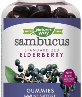 Nature's Way Sambucus Gummies -- 60 Gummies
