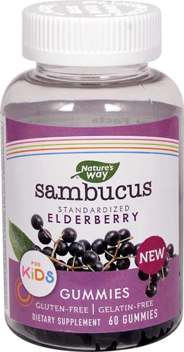 Nature's Way Sambucus Kids Gummies -- 60 Gummies