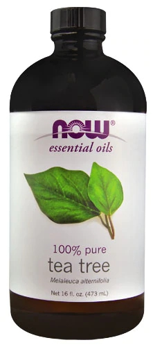NOW Foods Essential Oils 100% Pure Tea Tree -- 16 fl oz