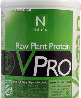 NutraKey VPRO Raw Plant Protein Chocolate -- 2 lbs