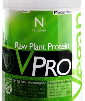 NutraKey VPRO Raw Plant Protein Mochaccino -- 2 lbs