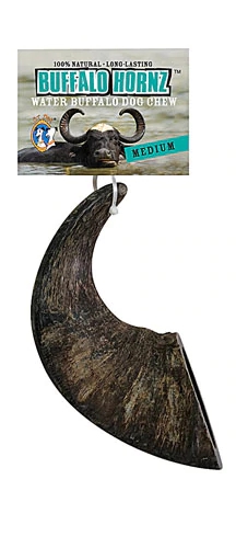 QT Dog Buffalo Hornz Water Buffalo Dog Chew -- Medium -- 1 Dog Treat