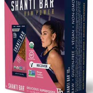 Shanti Bar Organic 17 G Protein Bar Gluten Free Mango Cashew Turmeric -- 12 Bars