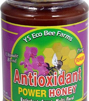 YS Eco Bee Farms Antioxidant Power Honey -- 13.5 oz