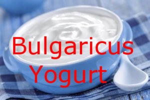 Bulgaricus Iogurte Infinito – o Probiótico
