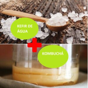 Combo – Kefir de Água + Kombuchá – o Probiótico