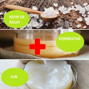 Combo – Kefir de Água + Kombucha + JUN – o Probiótico