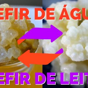 Combo – KEFIR DE LEITE + KEFIR DE ÁGUA – o Probiótico