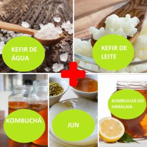 Combo – Kefir de Água + Kefir de Leite + Kombucha + JUN + Kombucha do Himalaia – o Probiótico