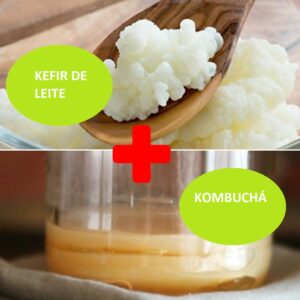 Combo – Kefir de Leite + Kombuchá – o Probiótico