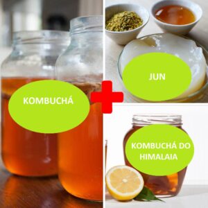 Combo – Kombucha + JUN + Kombucha do Himalaia – o Probiótico